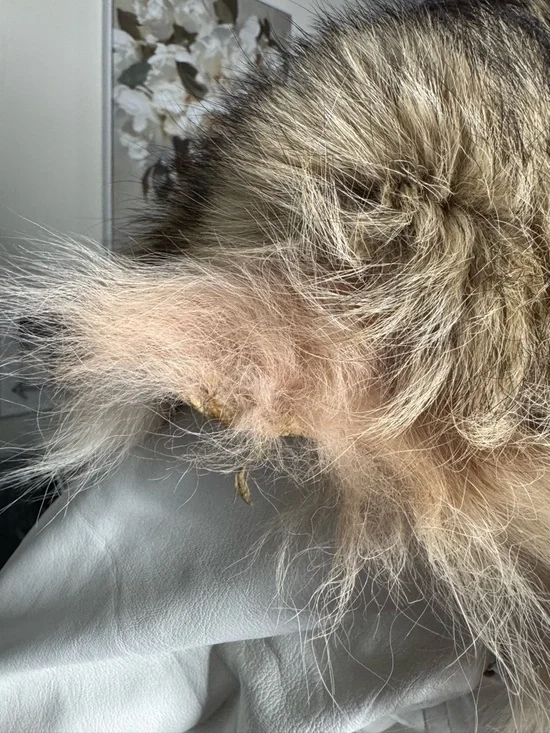 Lux Genuine Fox Fur & White Leather Vintage Jacket - Picture 15 of 16